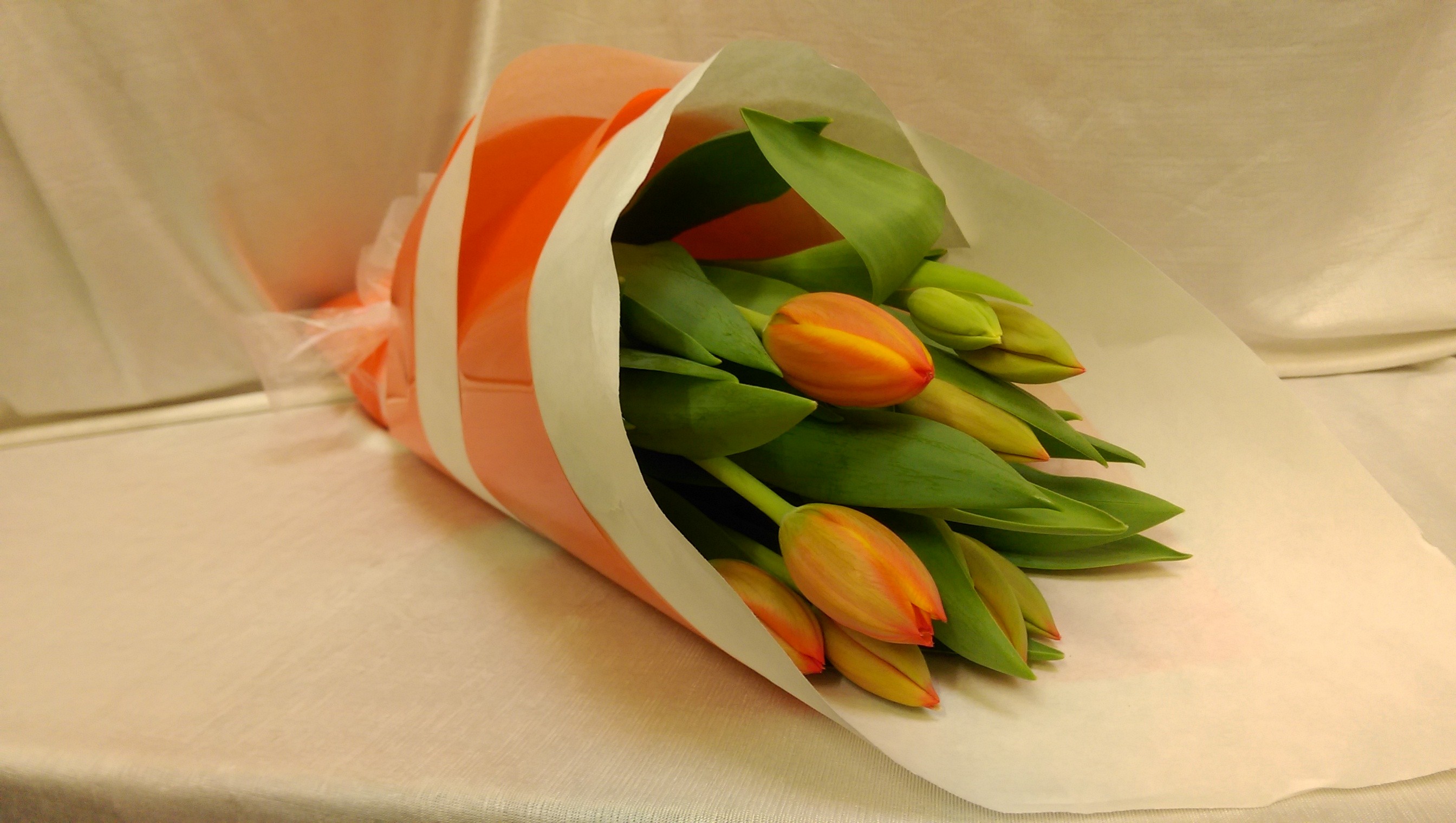 Tulips From 